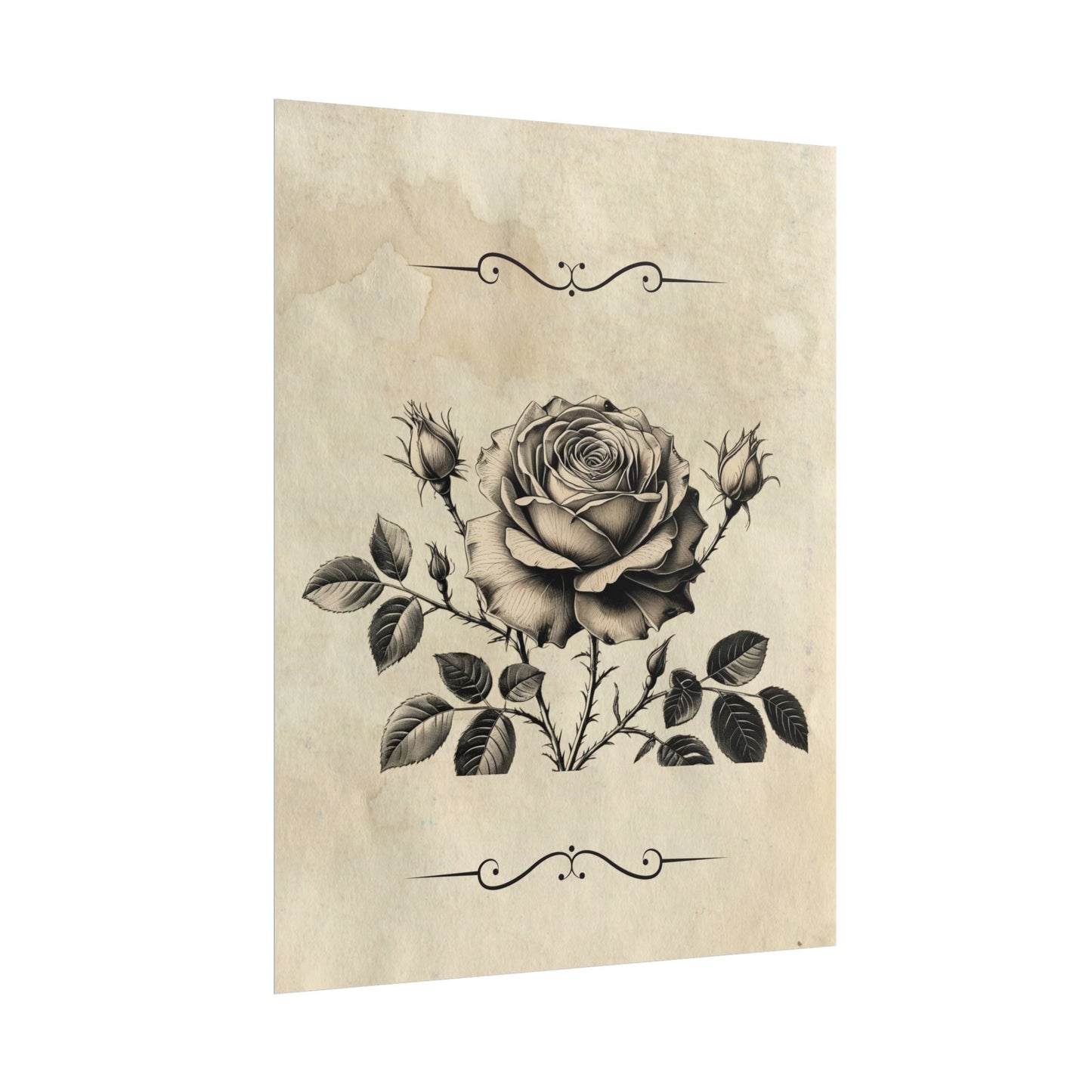 Poster Print - Vintage Black and Grey Rose Design