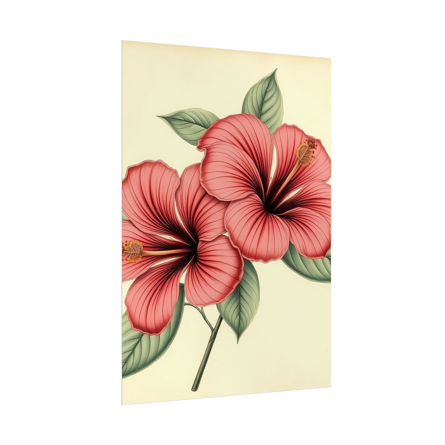 Vintage Hibiscus Poster