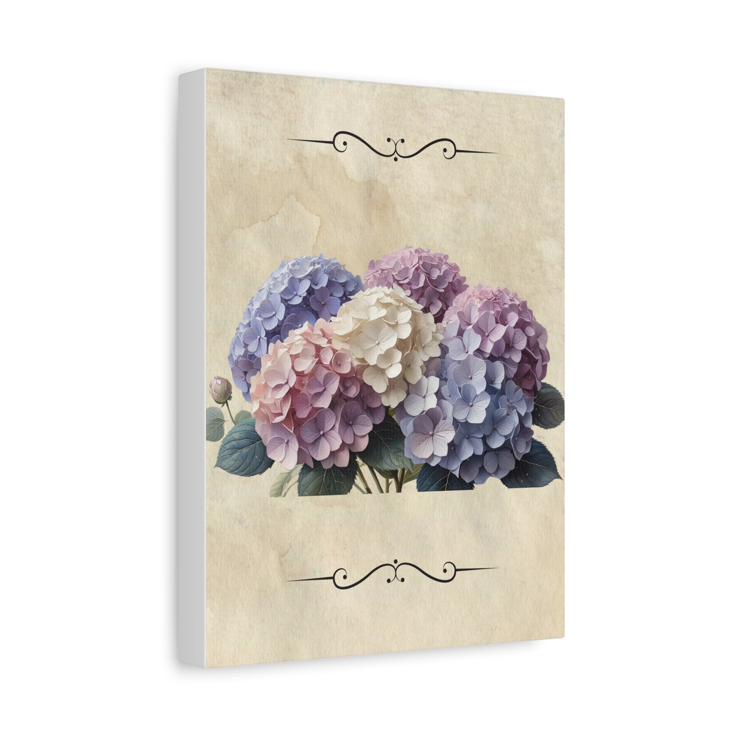 Vintage hydrangeas Matte Canvas, Stretched, 1.25"