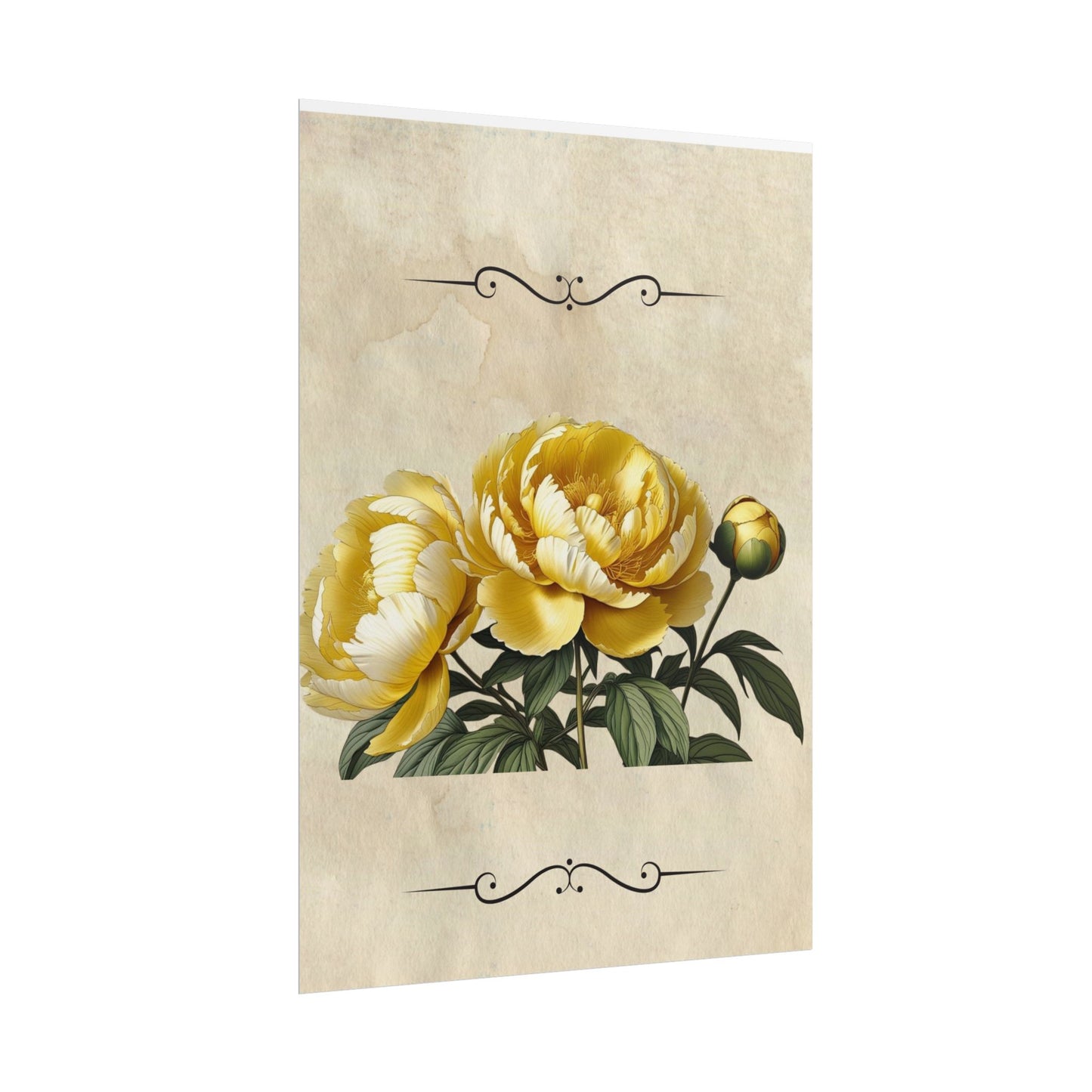 Poster Print Vintage Peony