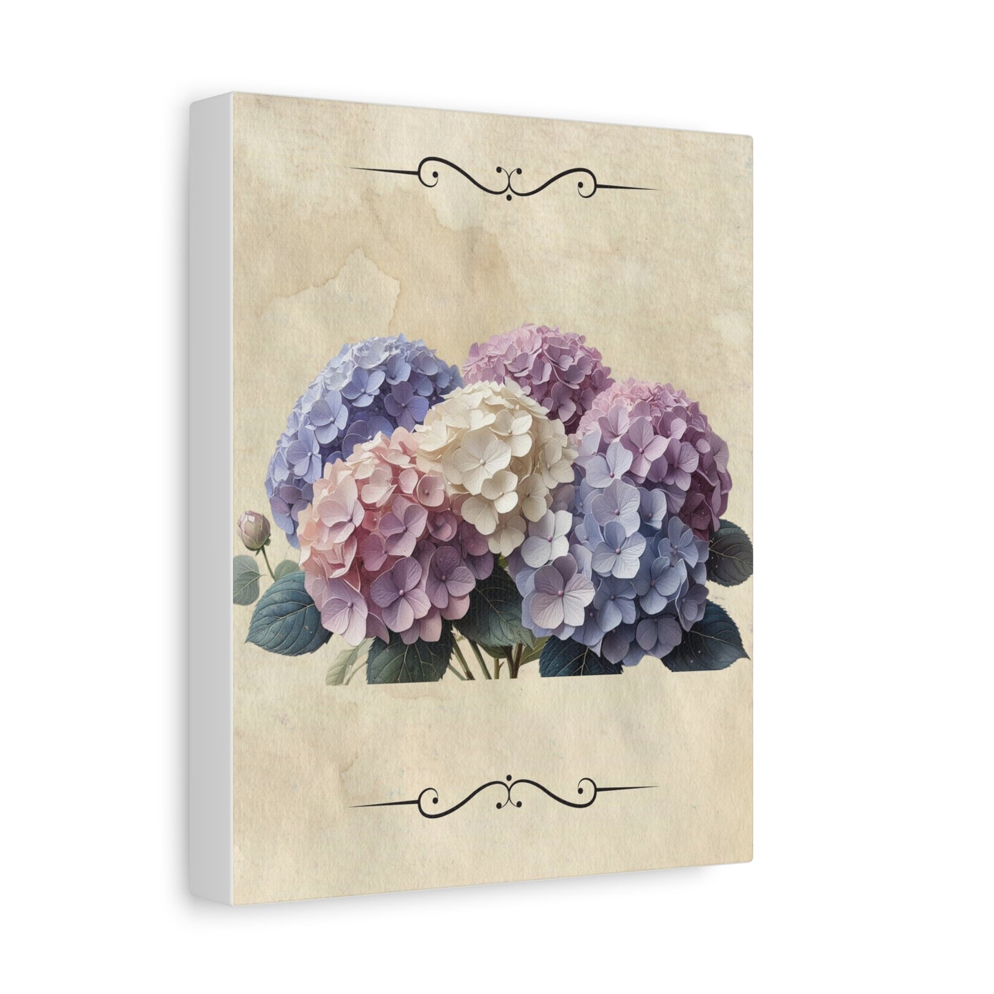 Vintage hydrangeas Matte Canvas, Stretched, 1.25"