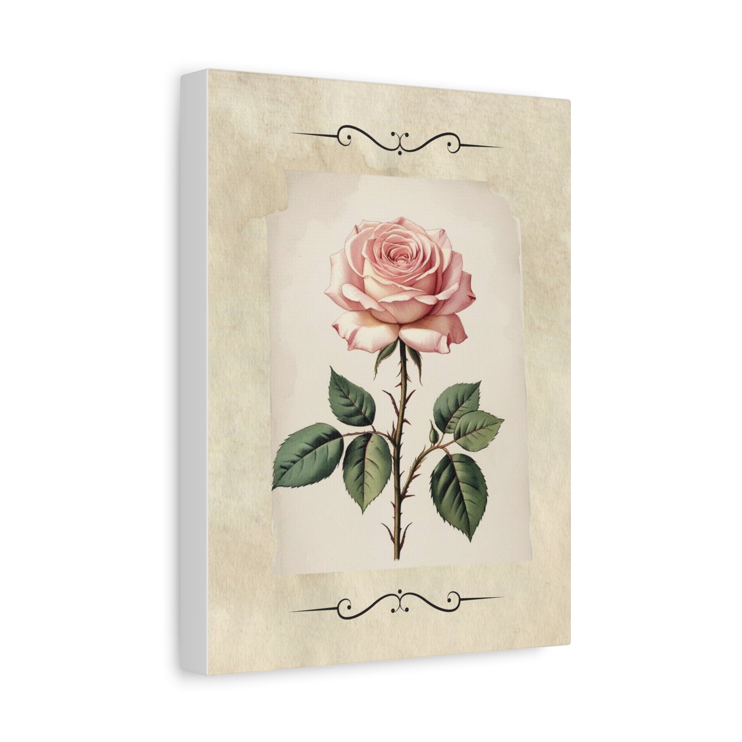 Vintage pink rose on Matte Canvas, Stretched, 1.25"