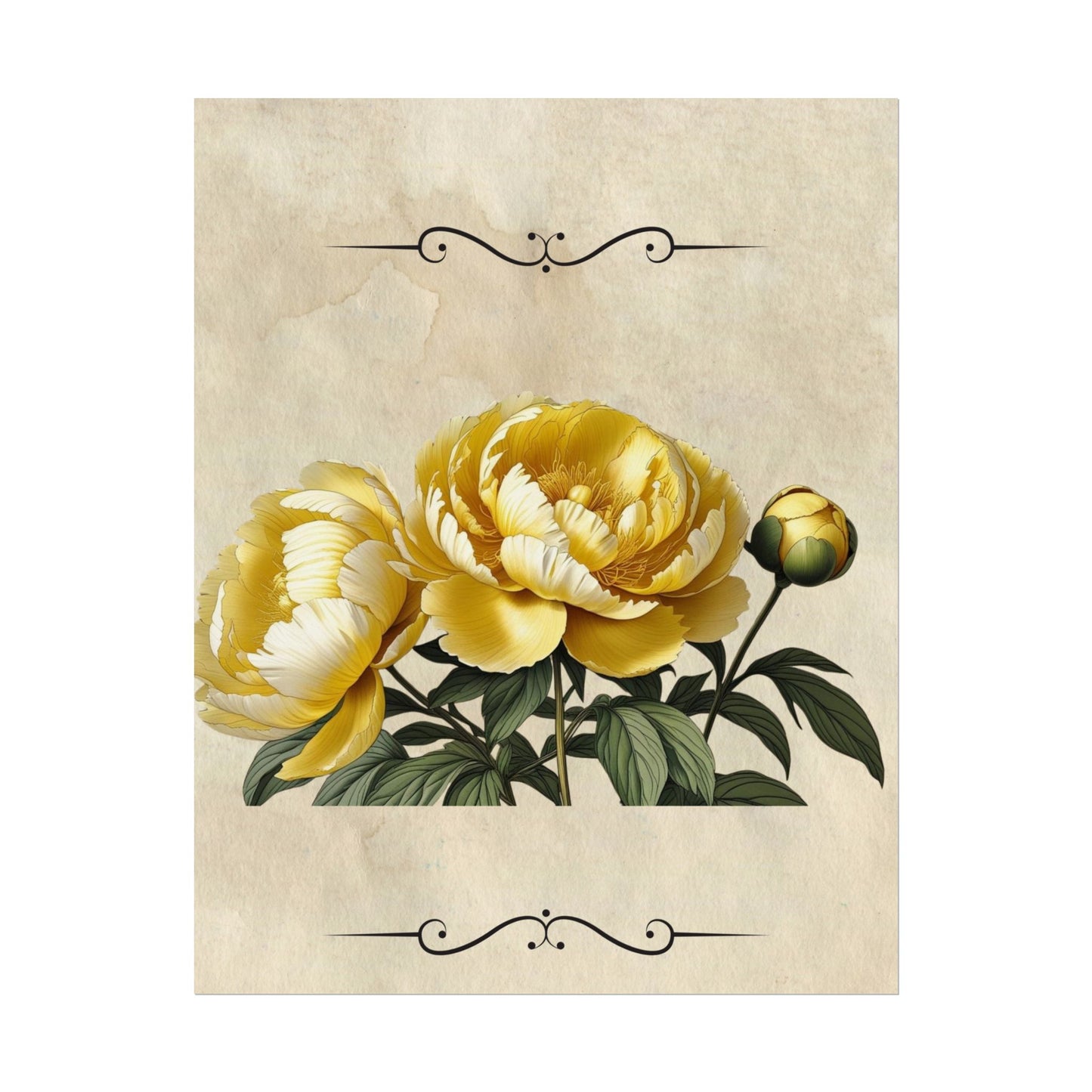 Poster Print Vintage Peony