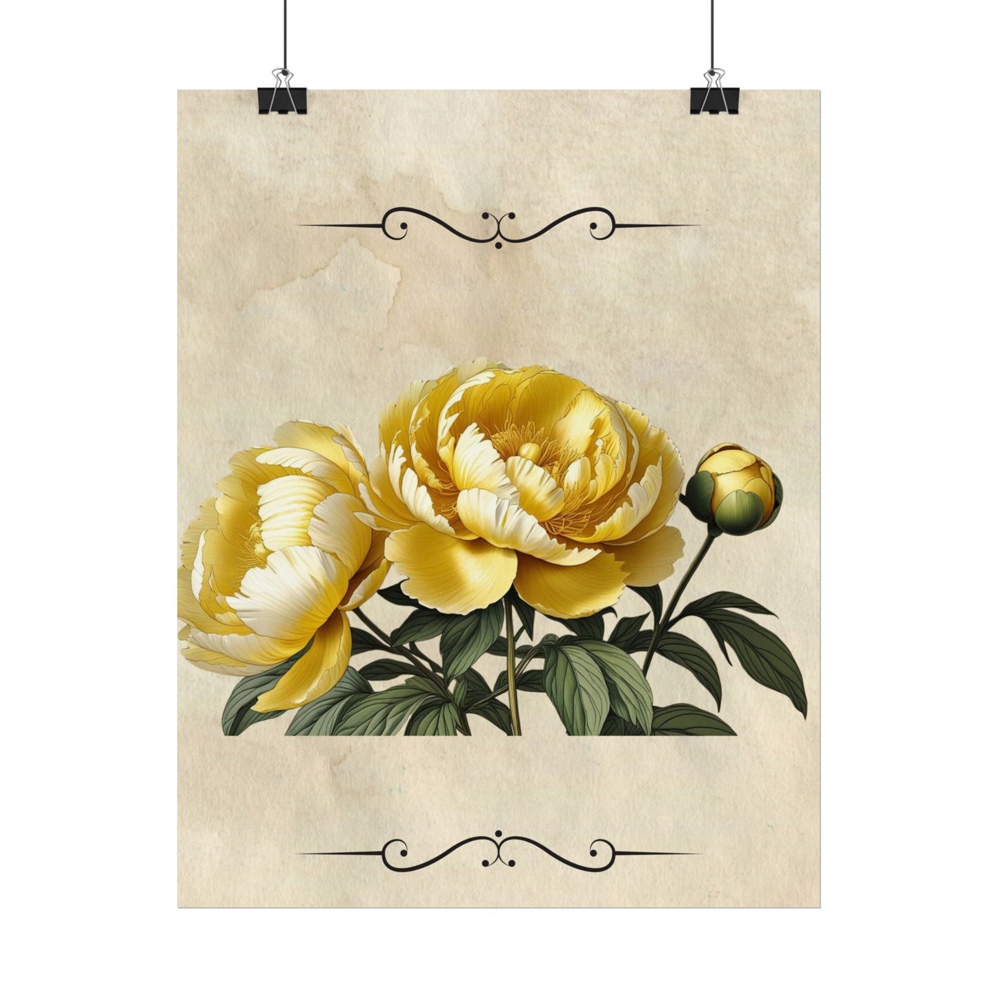 Poster Print Vintage Peony