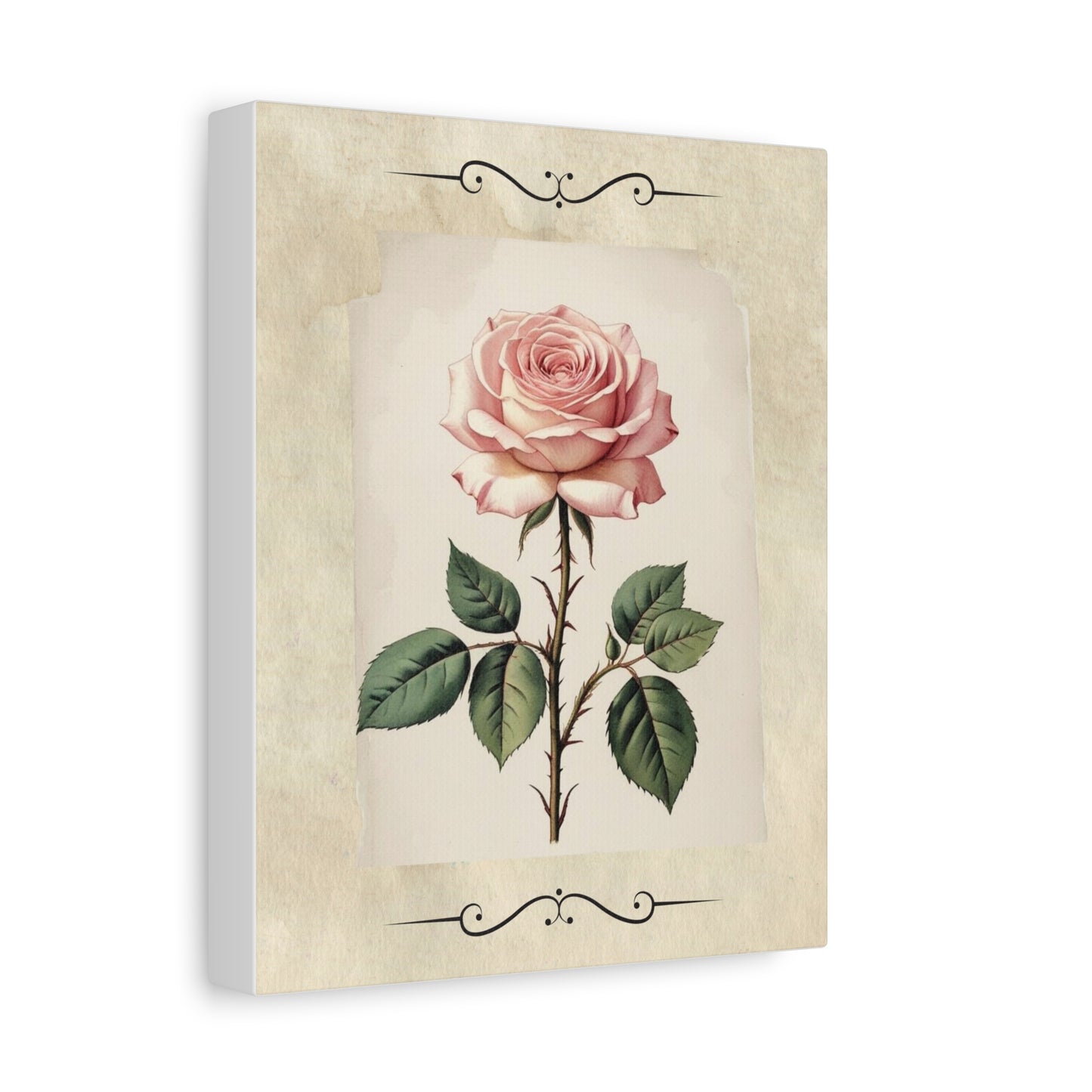 Vintage pink rose on Matte Canvas, Stretched, 1.25"