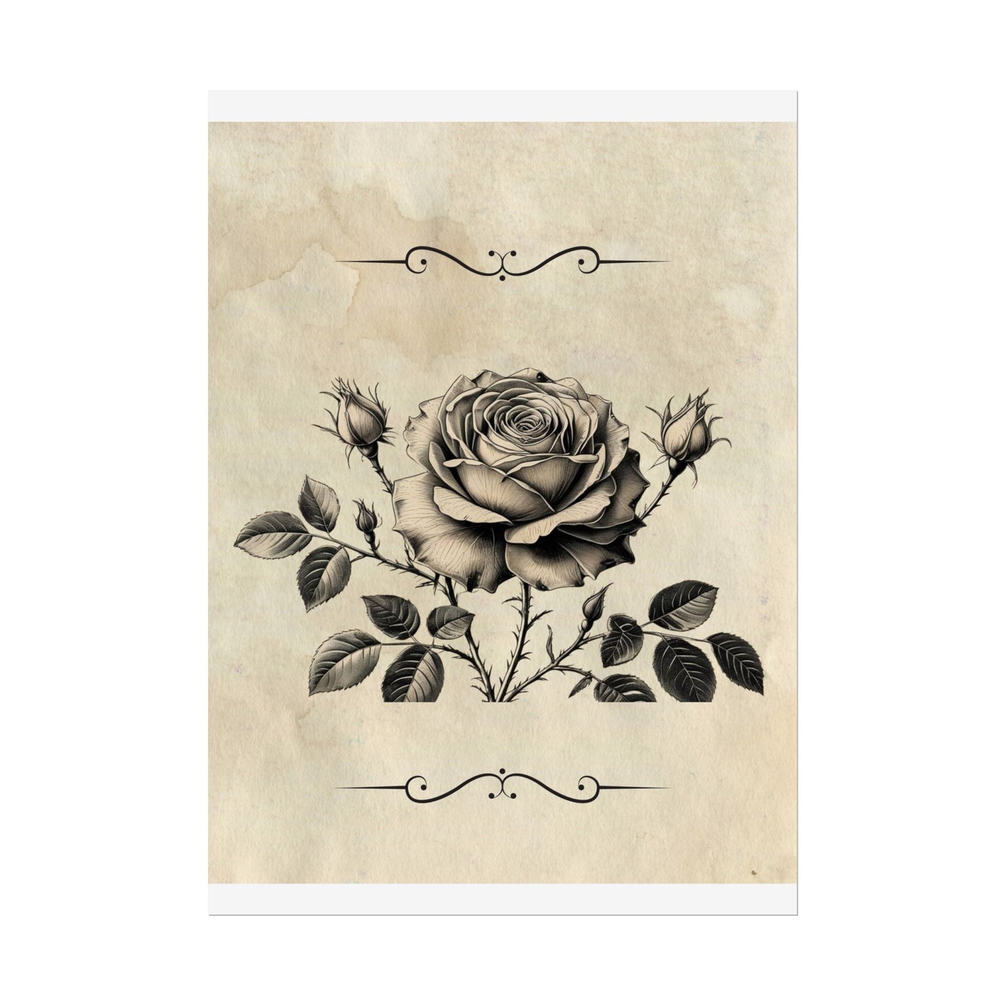 Poster Print - Vintage Black and Grey Rose Design