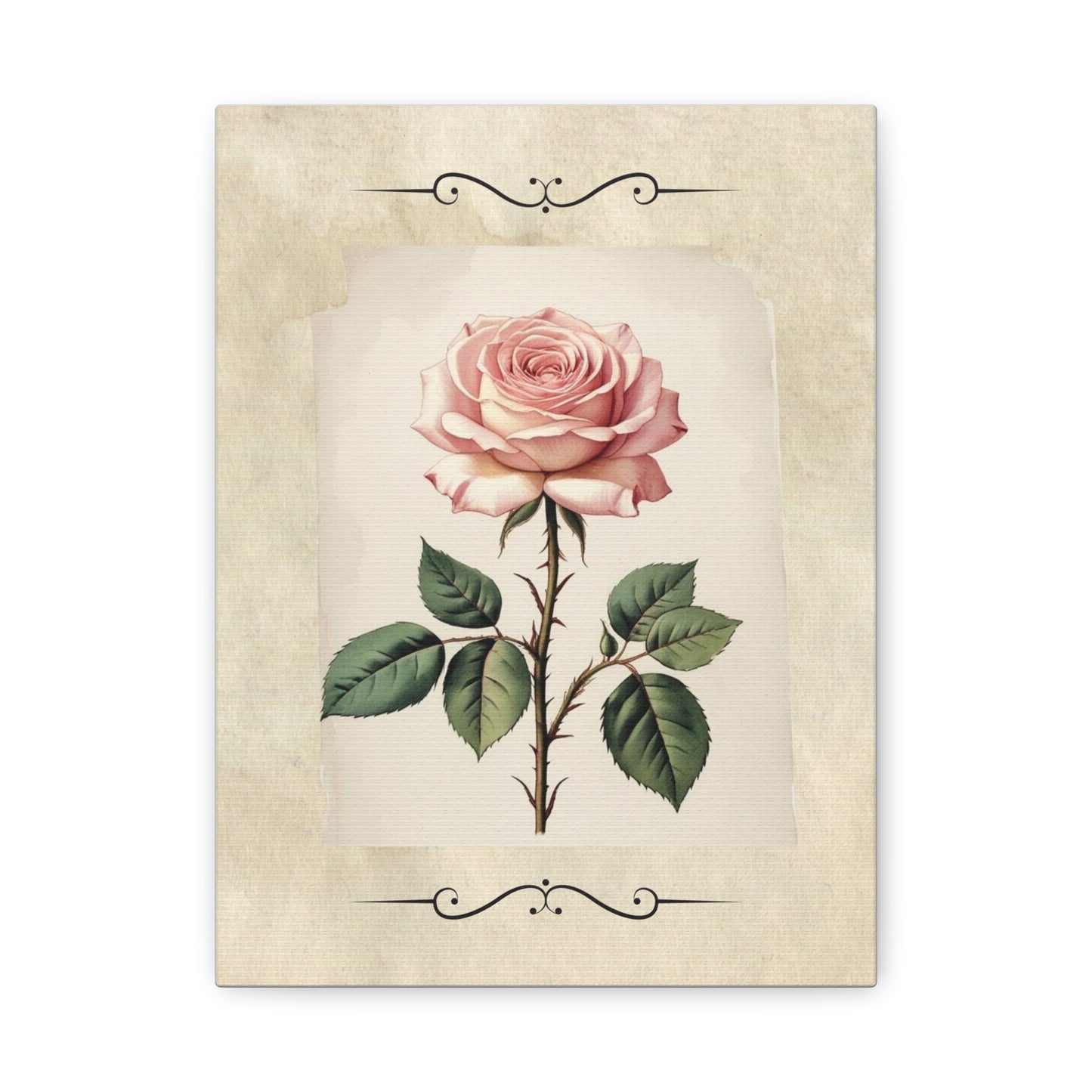 Vintage pink rose on Matte Canvas, Stretched, 1.25"
