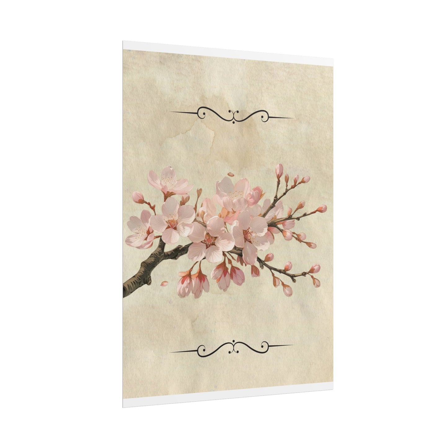 Vintage Cherry blossom on Rolled Posters