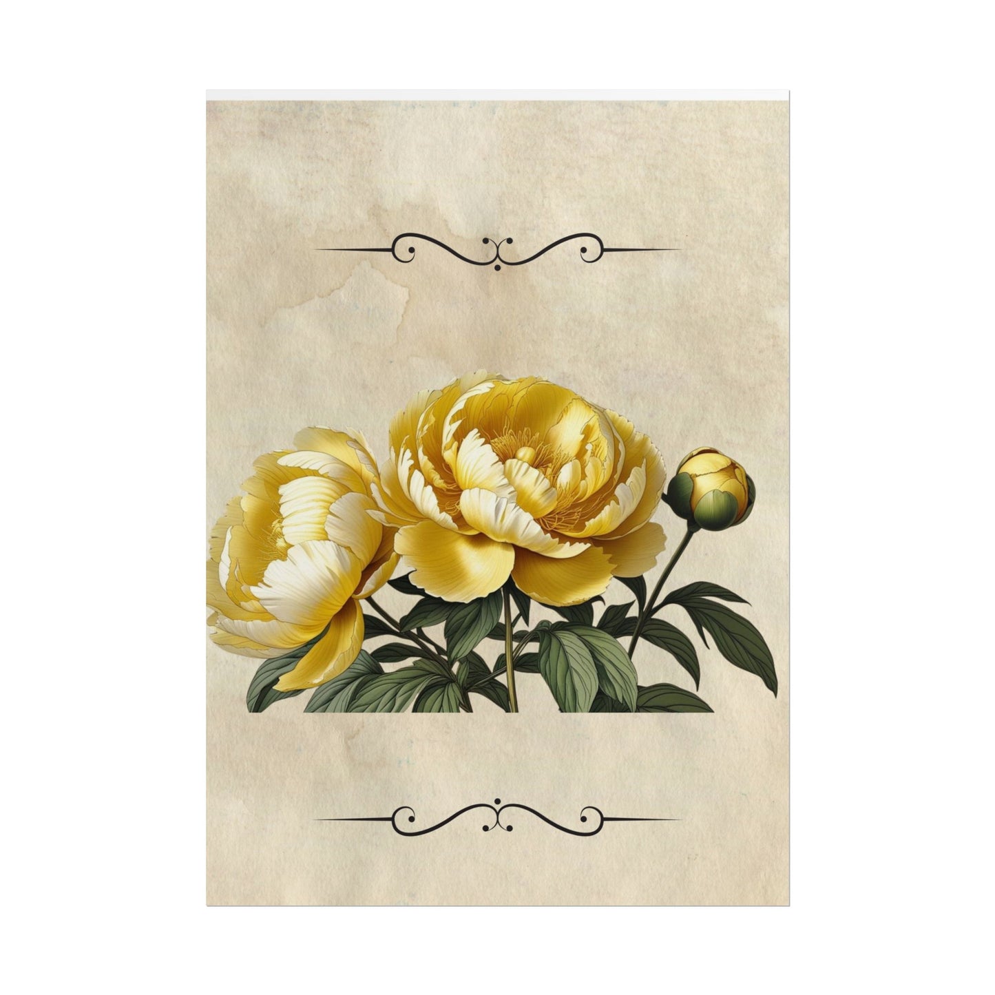 Poster Print Vintage Peony