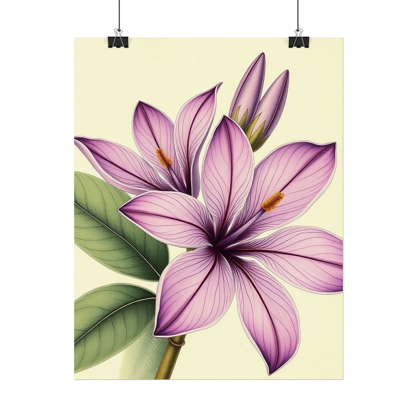 Vintage Purple Lily Poster