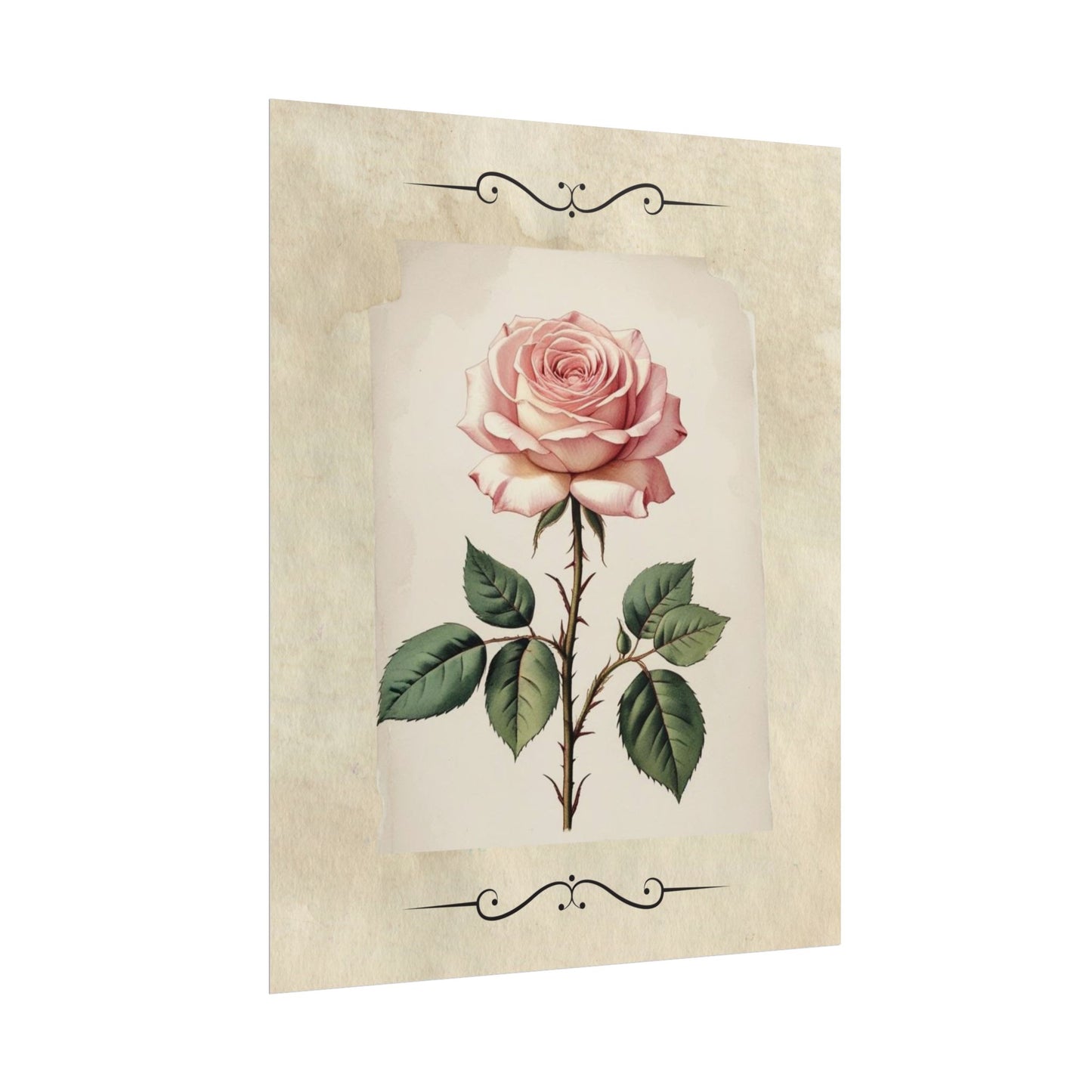 Poster Prints - Vintage Pink Rose Design