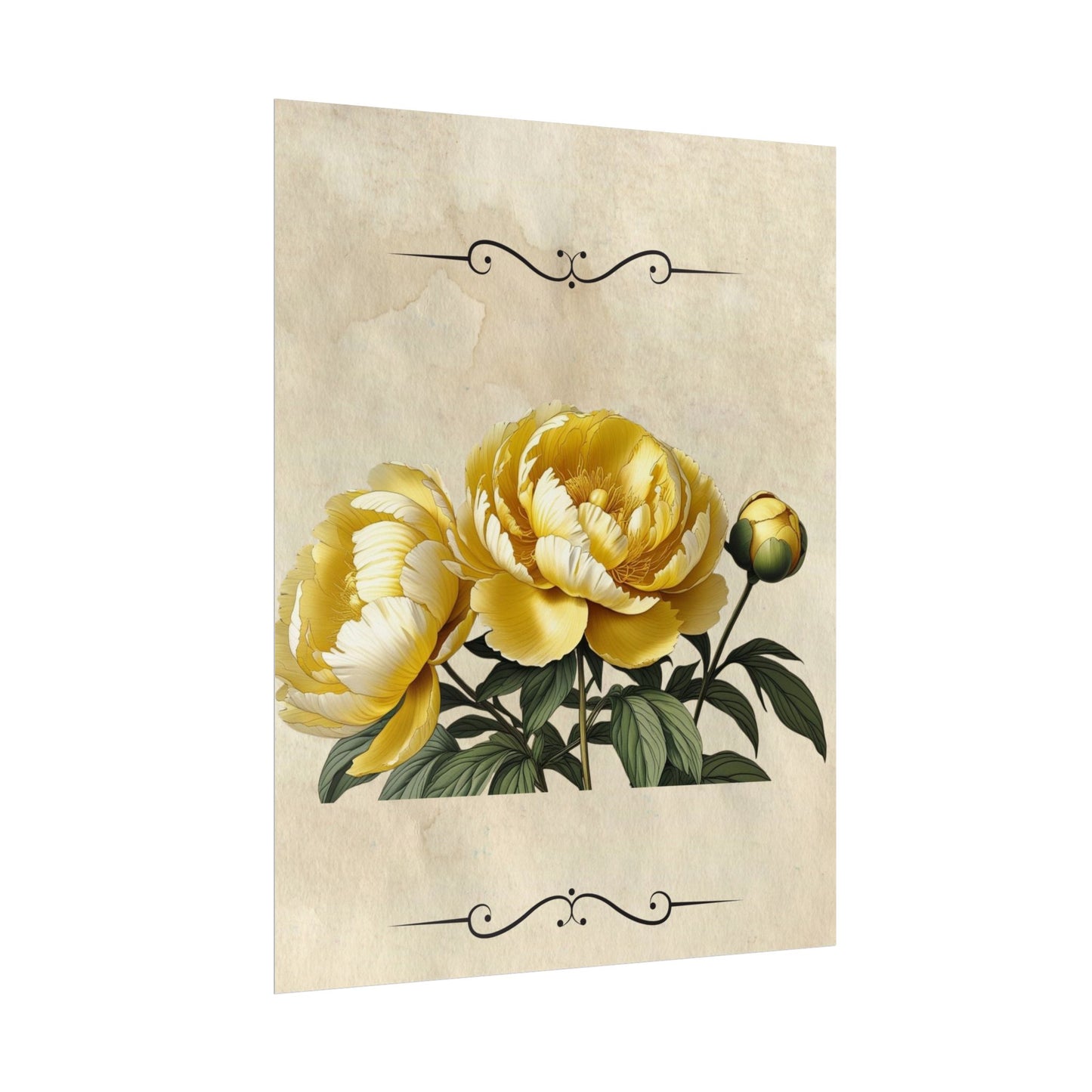 Poster Print Vintage Peony
