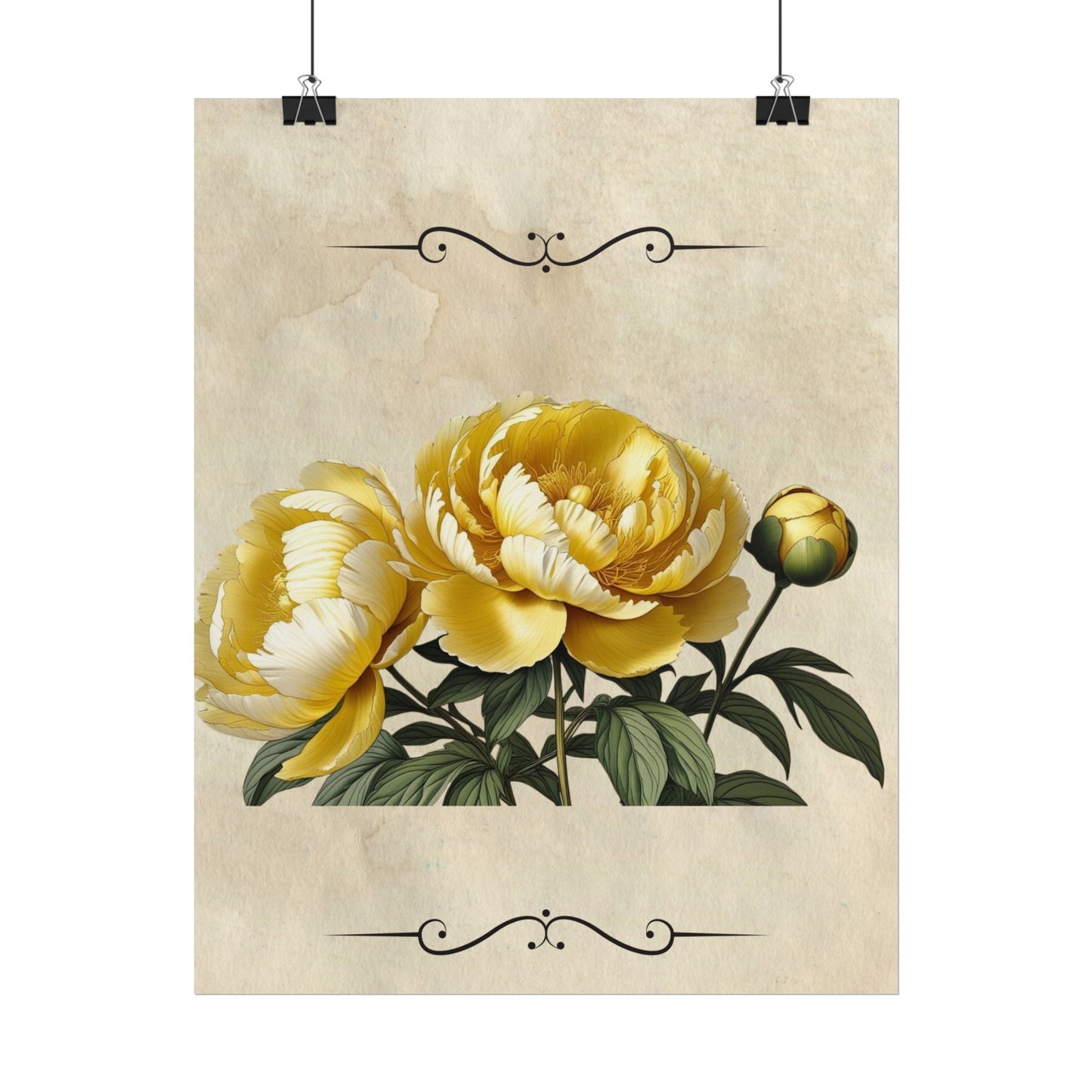 Poster Print Vintage Peony