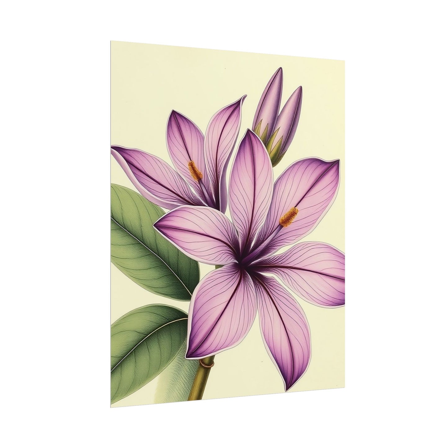 Vintage Purple Lily Poster