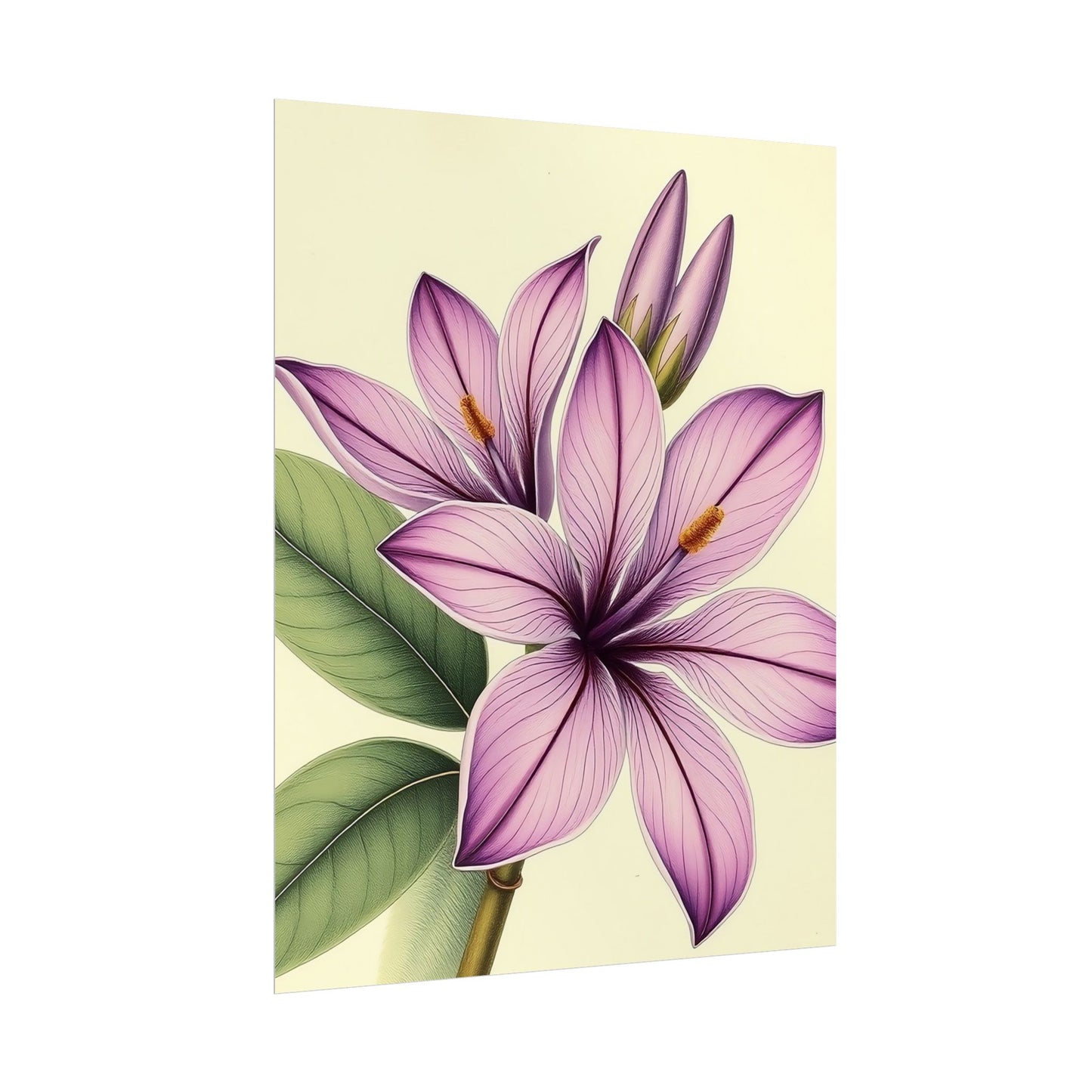Vintage Purple Lily Poster