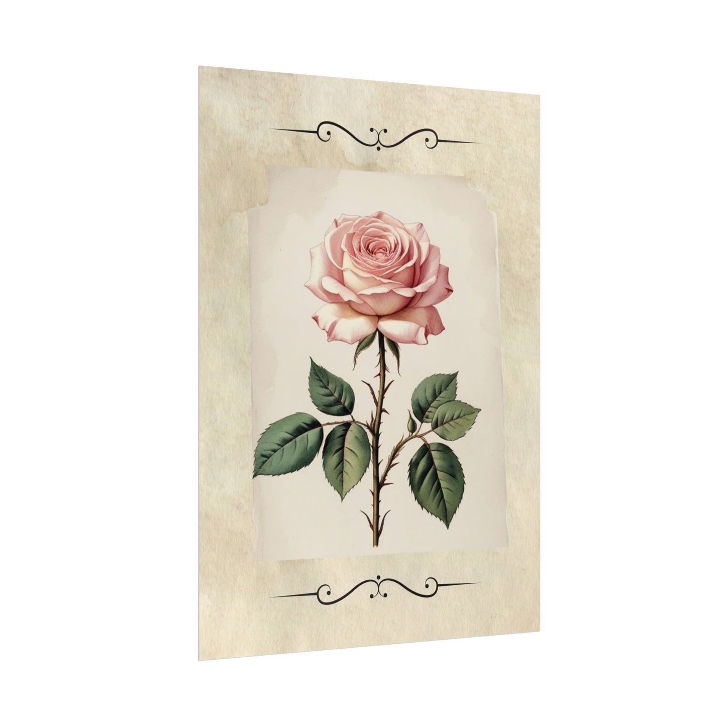Poster Prints - Vintage Pink Rose Design