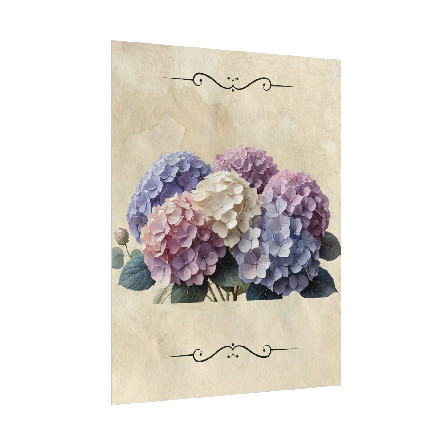 Rolled Posters - Vintage Hydrangea Wall Art