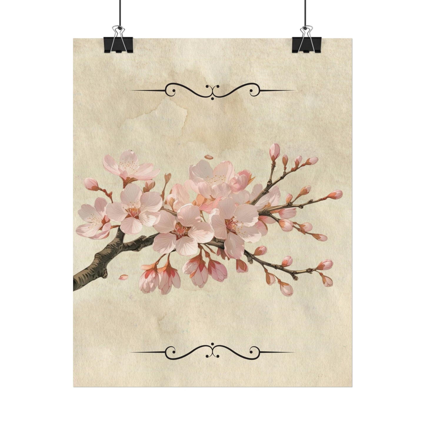 Vintage Cherry blossom on Rolled Posters