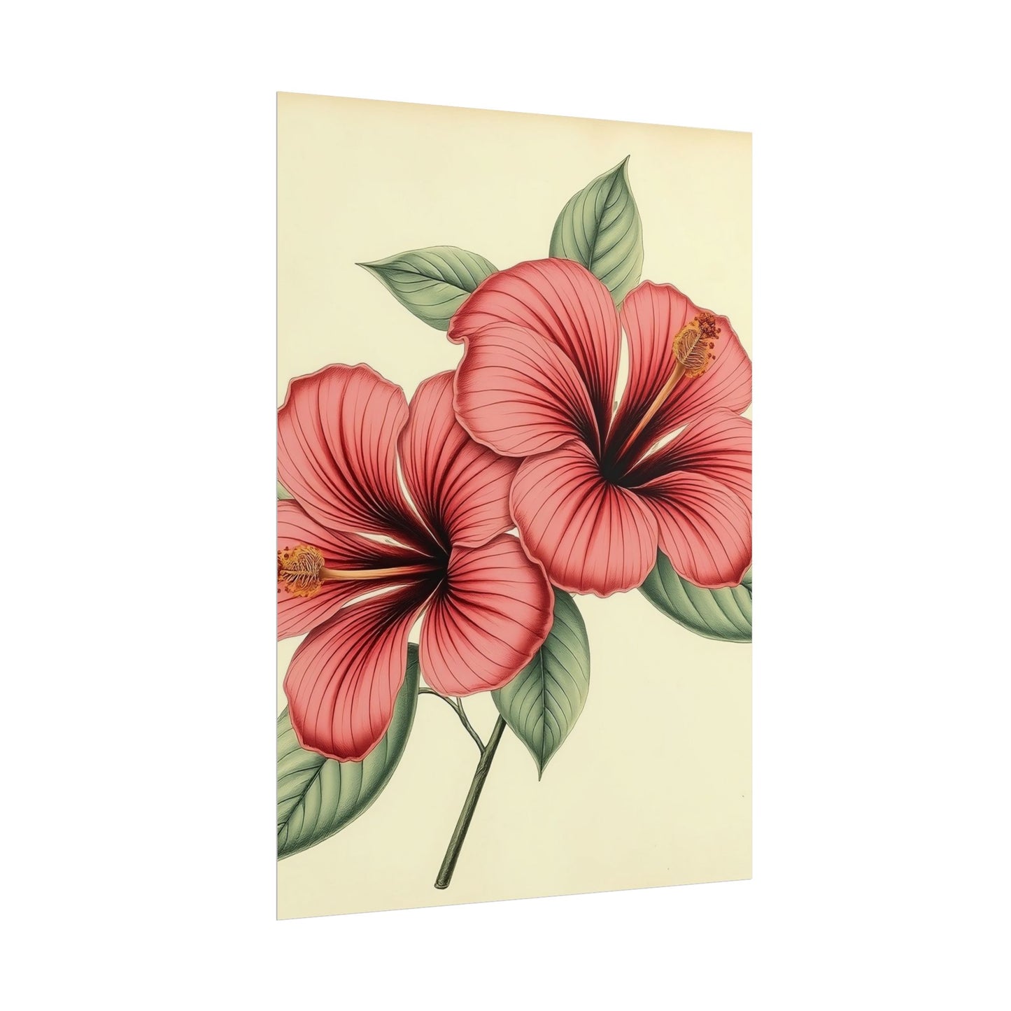 Vintage Hibiscus Poster