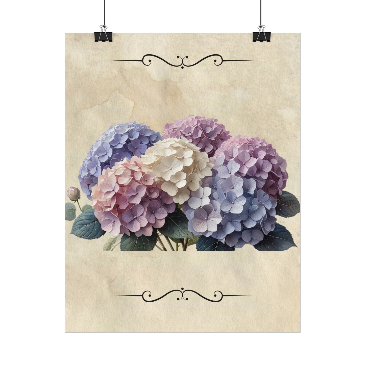 Rolled Posters - Vintage Hydrangea Wall Art