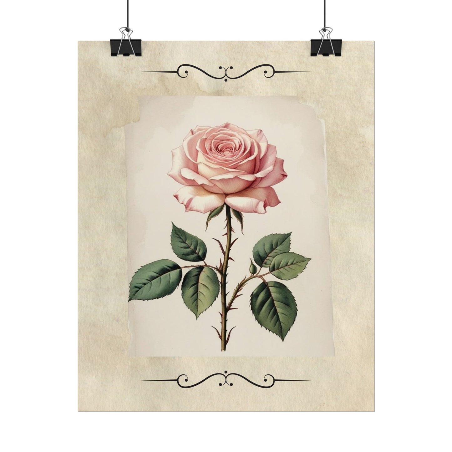 Poster Prints - Vintage Pink Rose Design
