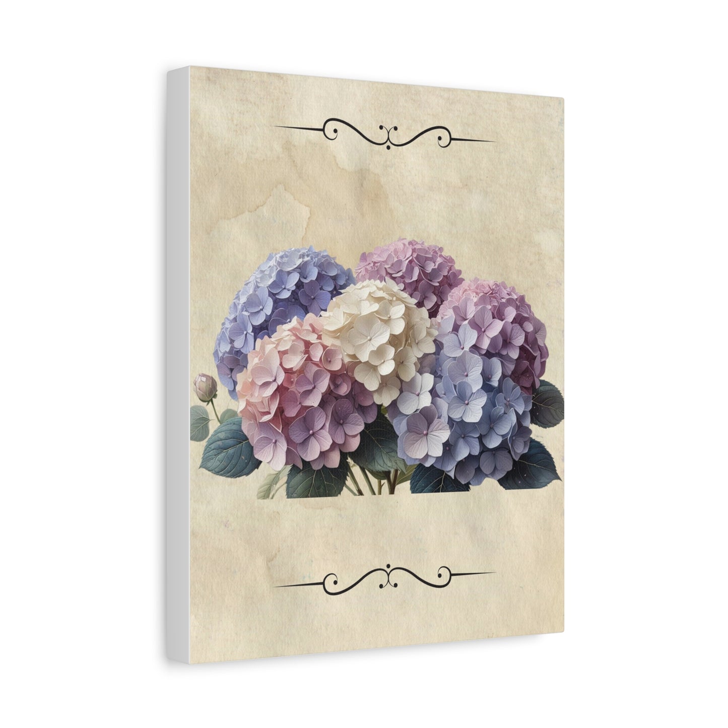 Vintage hydrangeas Matte Canvas, Stretched, 1.25"