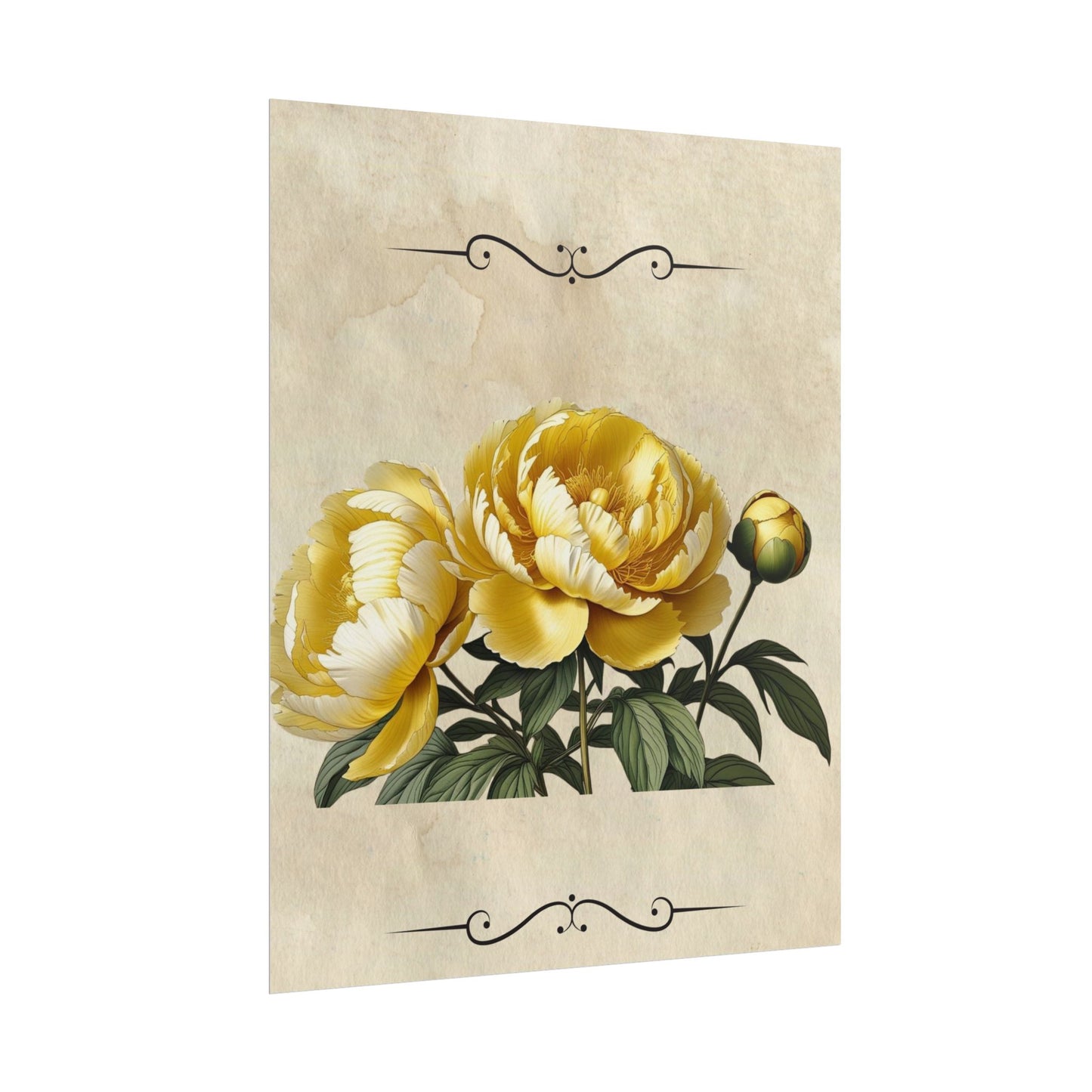 Poster Print Vintage Peony