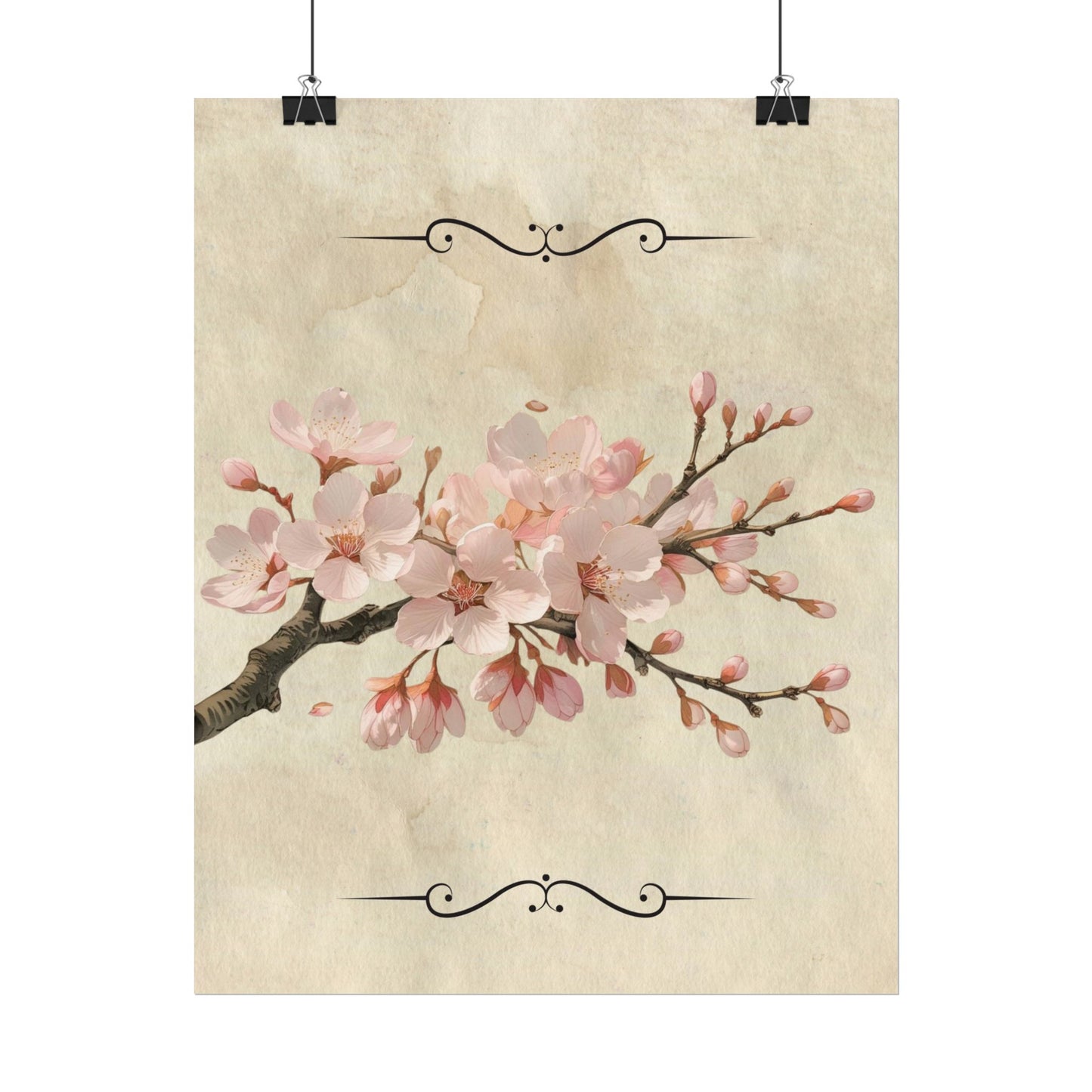 Vintage Cherry blossom on Rolled Posters