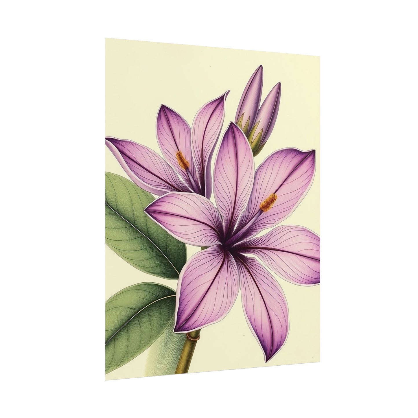 Vintage Purple Lily Poster