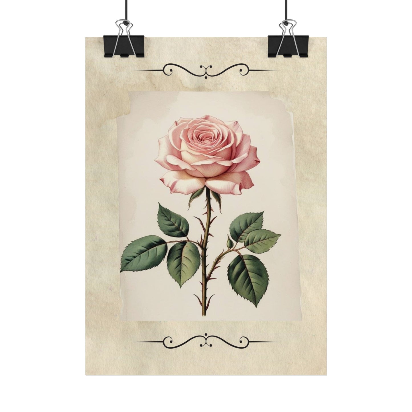 Poster Prints - Vintage Pink Rose Design