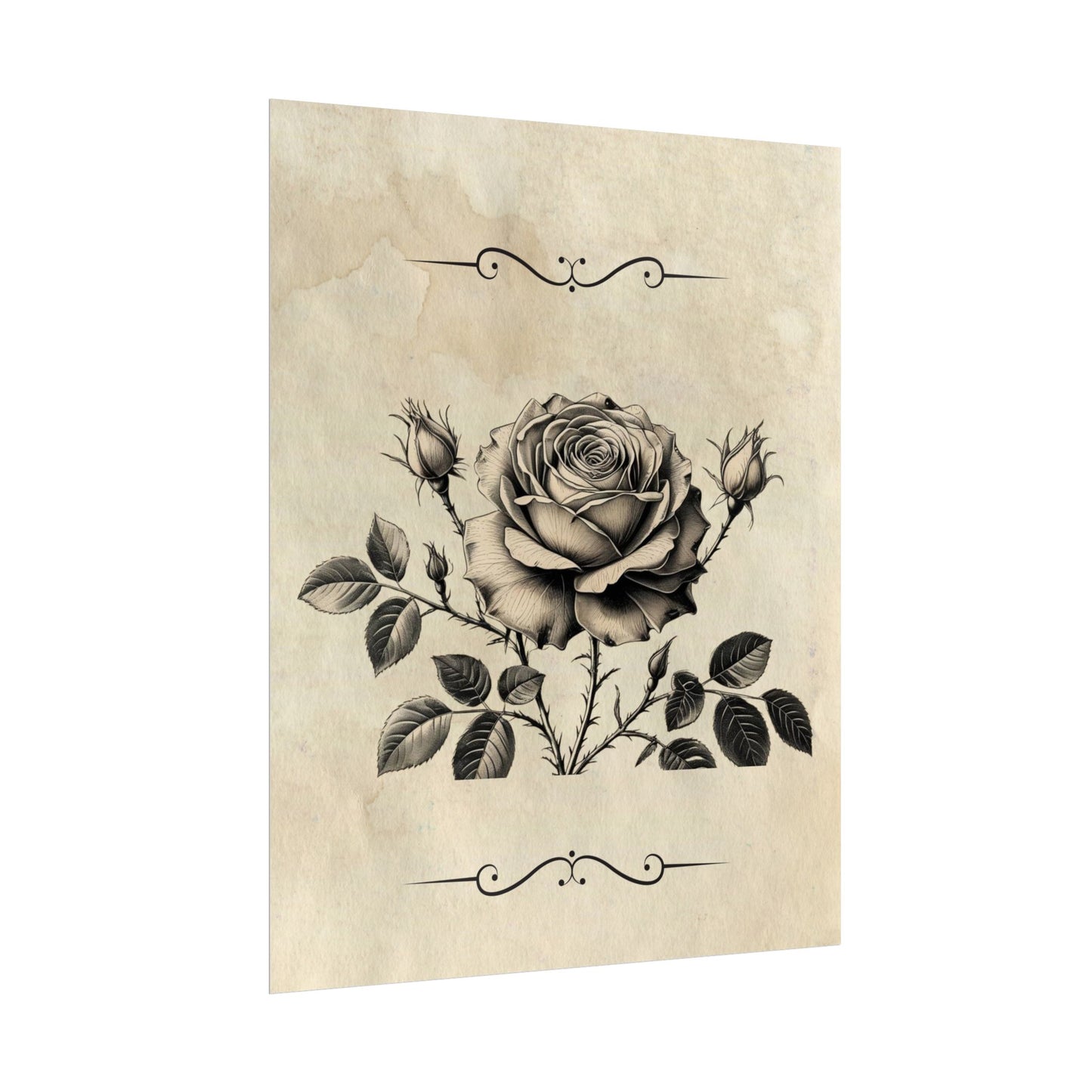 Poster Print - Vintage Black and Grey Rose Design