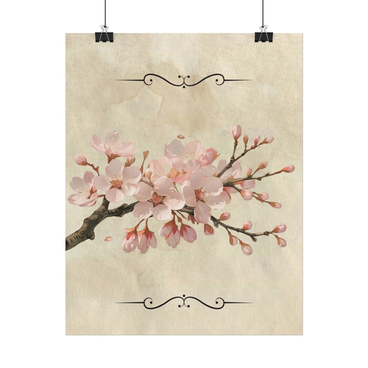 Vintage Cherry blossom on Rolled Posters