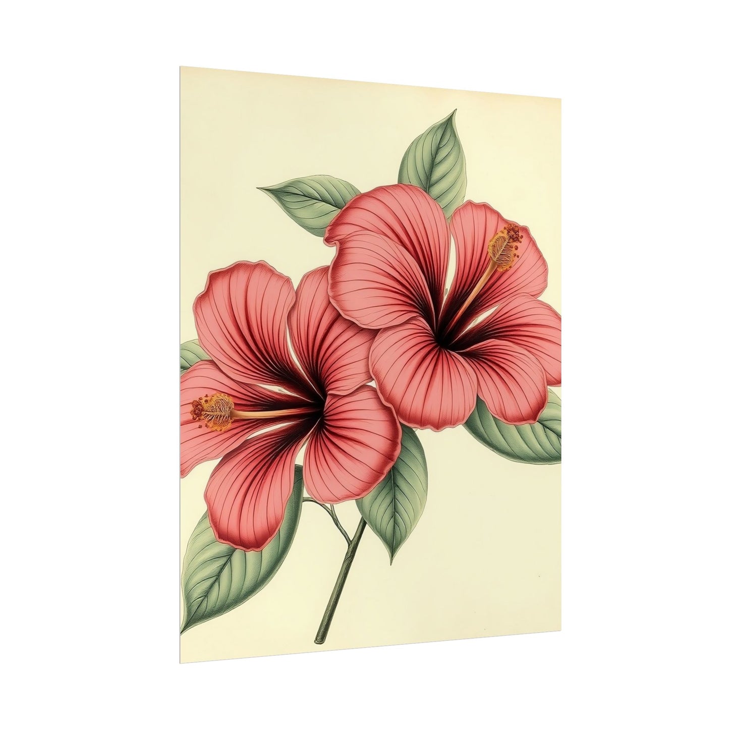 Vintage Hibiscus Poster