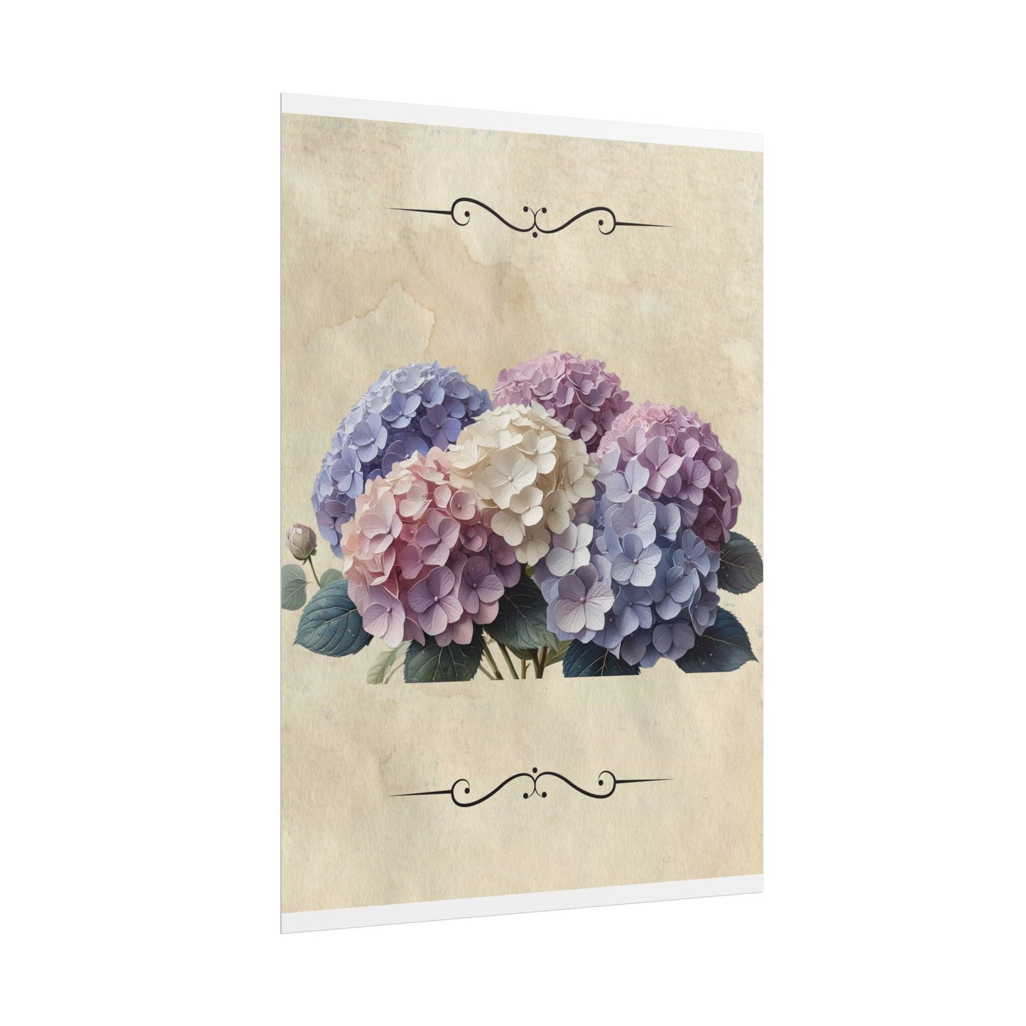 Rolled Posters - Vintage Hydrangea Wall Art