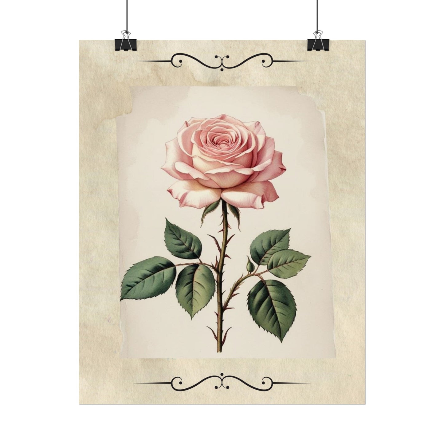 Poster Prints - Vintage Pink Rose Design