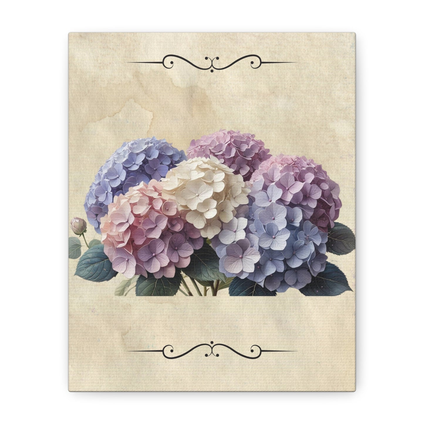 Vintage hydrangeas Matte Canvas, Stretched, 1.25"