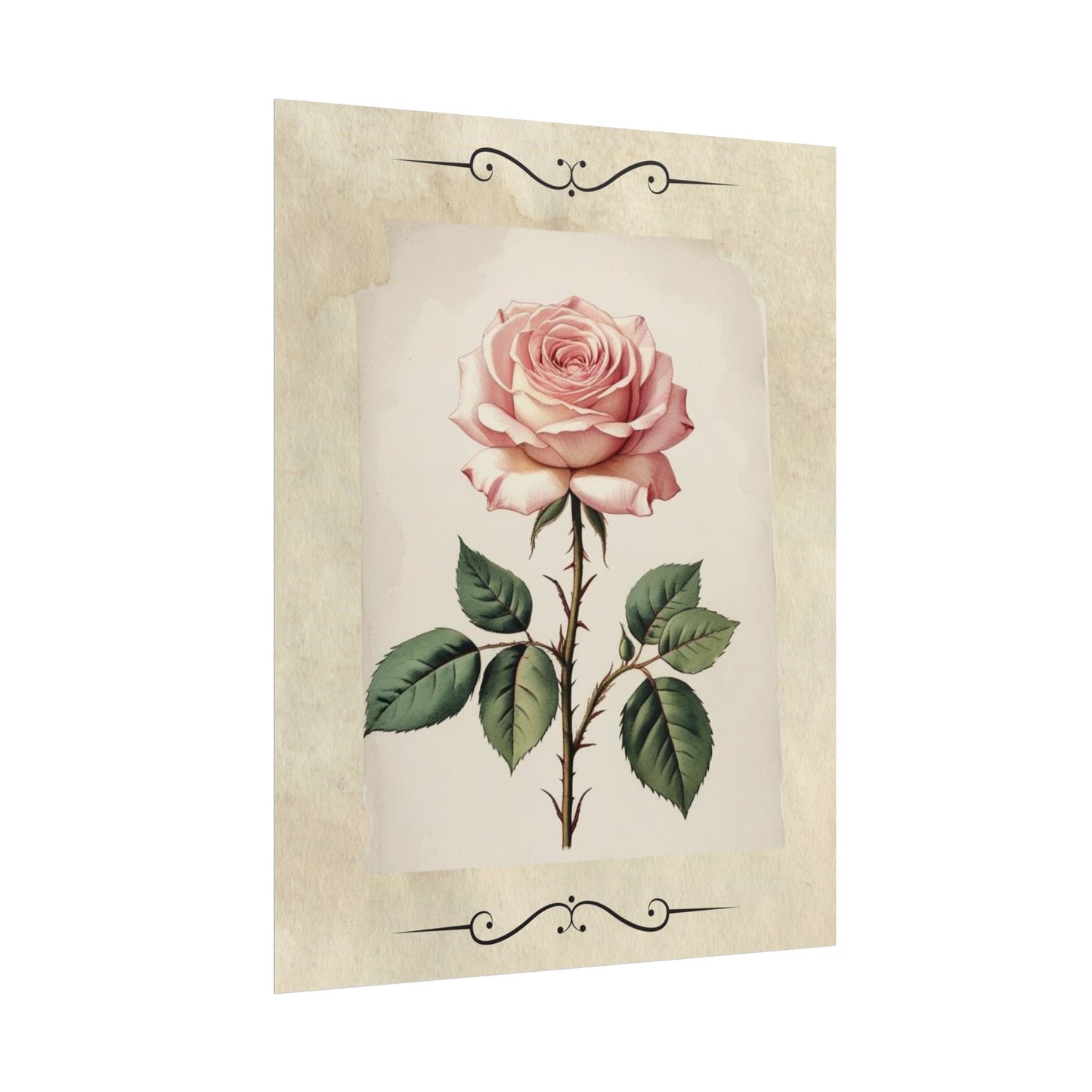 Poster Prints - Vintage Pink Rose Design