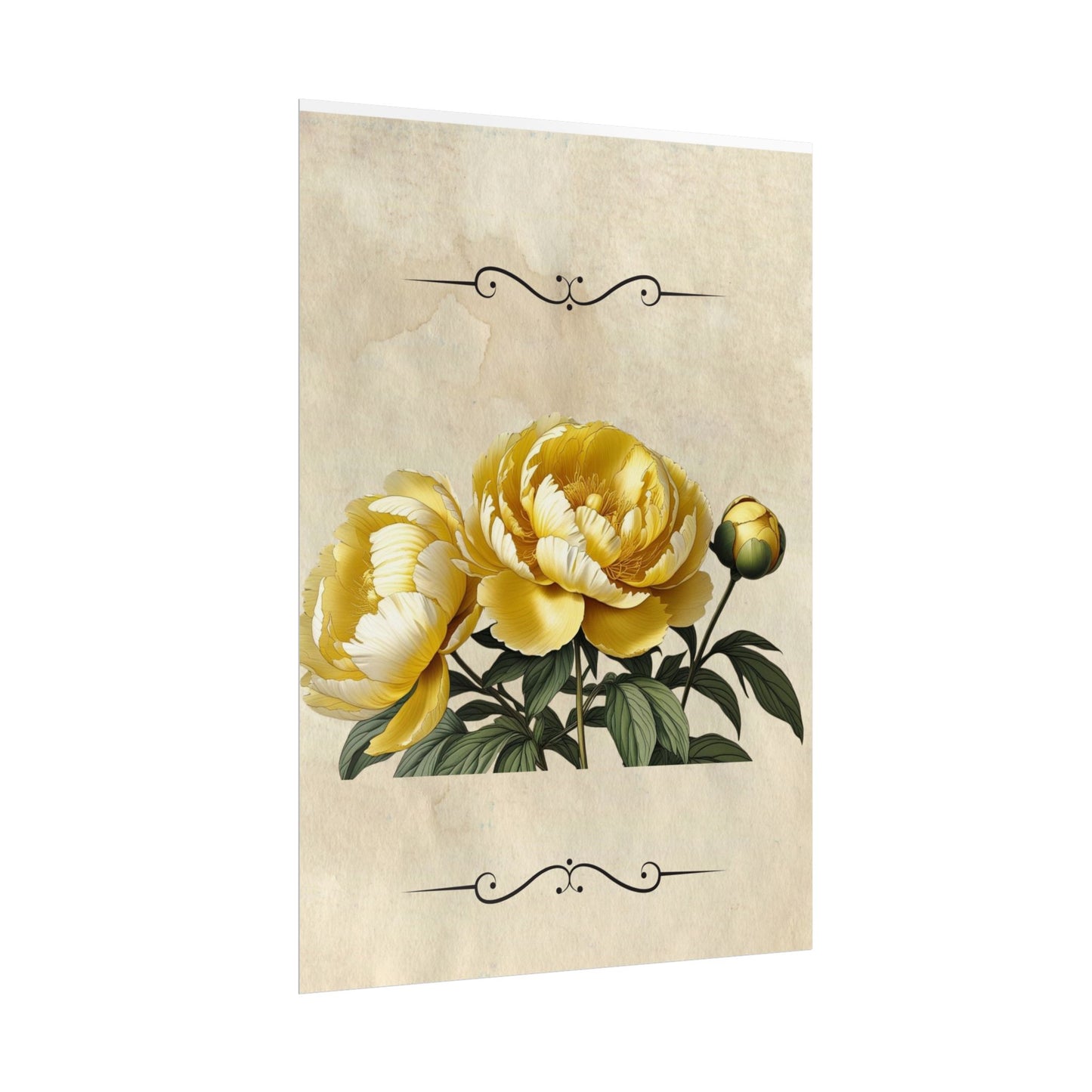Poster Print Vintage Peony