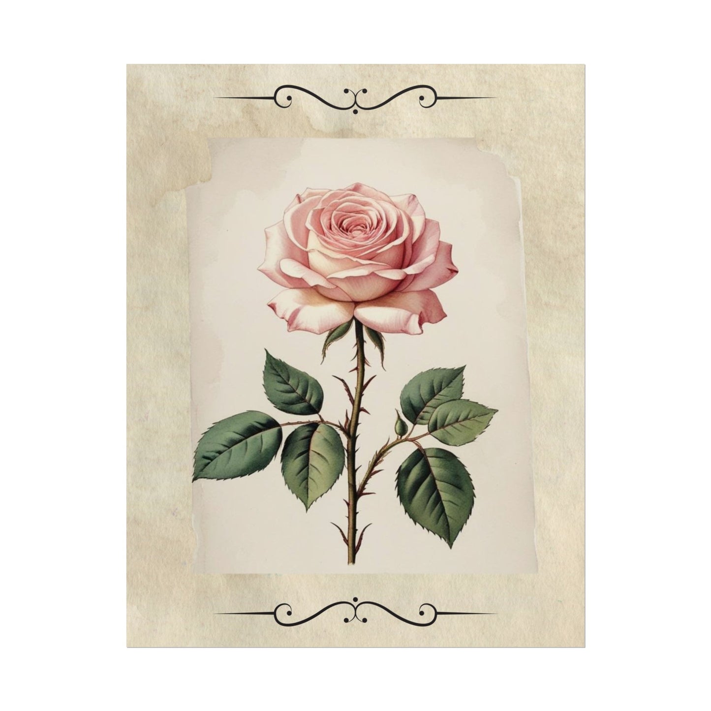 Poster Prints - Vintage Pink Rose Design