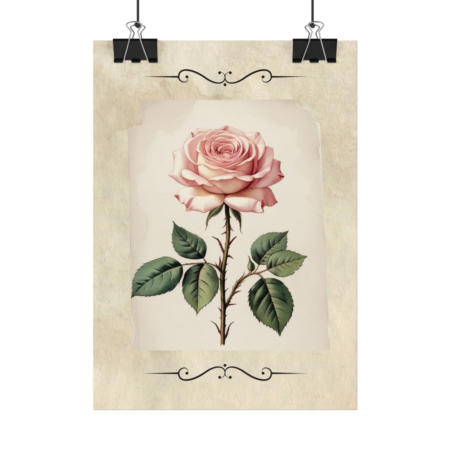 Poster Prints - Vintage Pink Rose Design