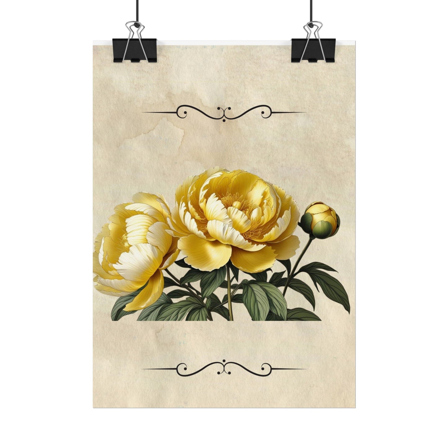 Poster Print Vintage Peony