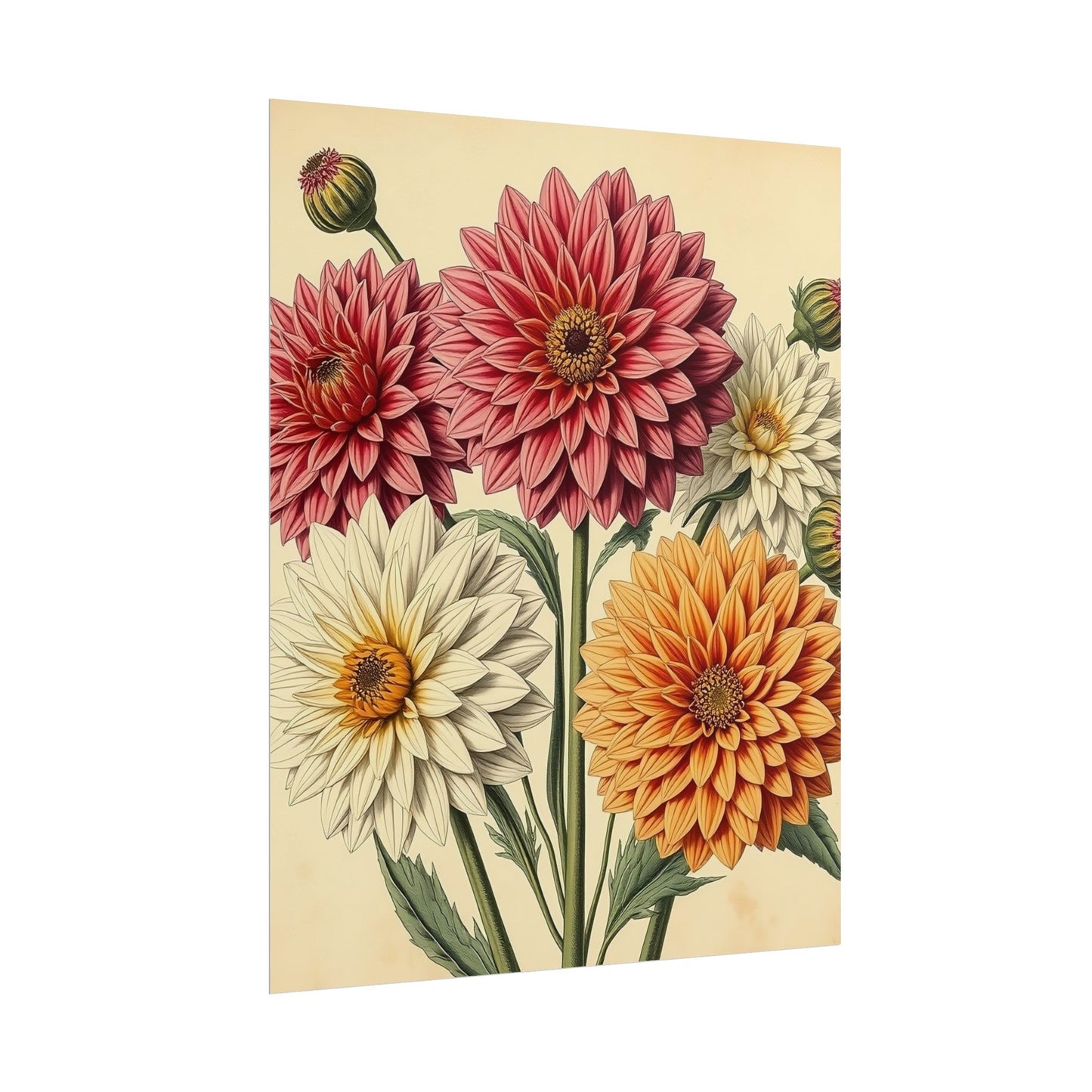 Vintage Flower Poster