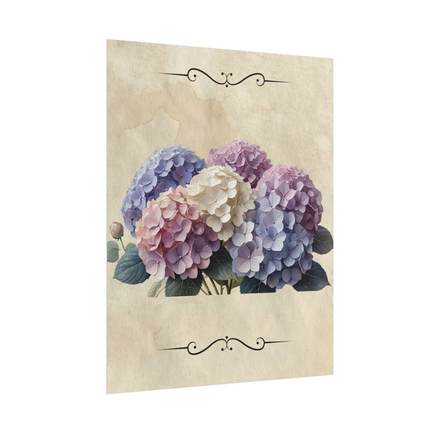 Rolled Posters - Vintage Hydrangea Wall Art