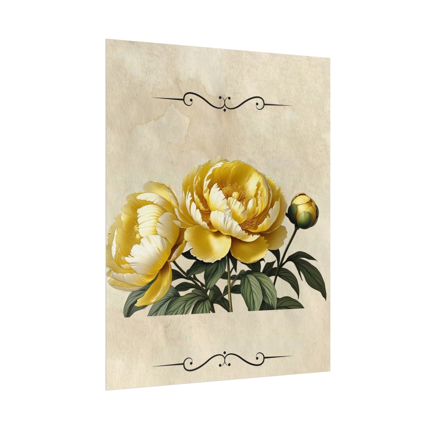 Poster Print Vintage Peony