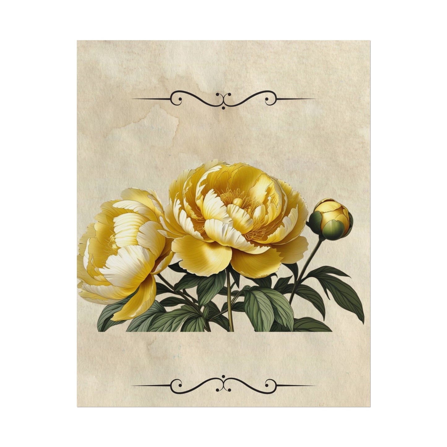 Poster Print Vintage Peony