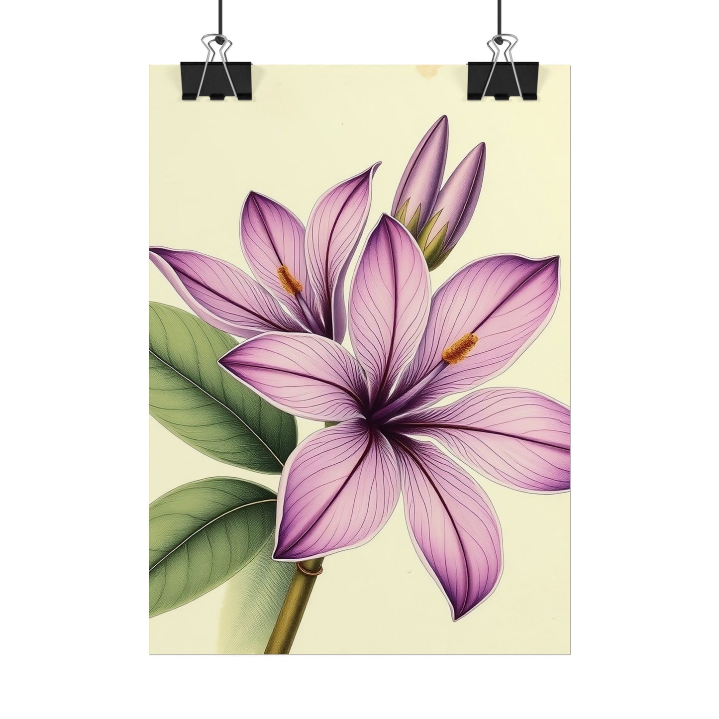 Vintage Purple Lily Poster