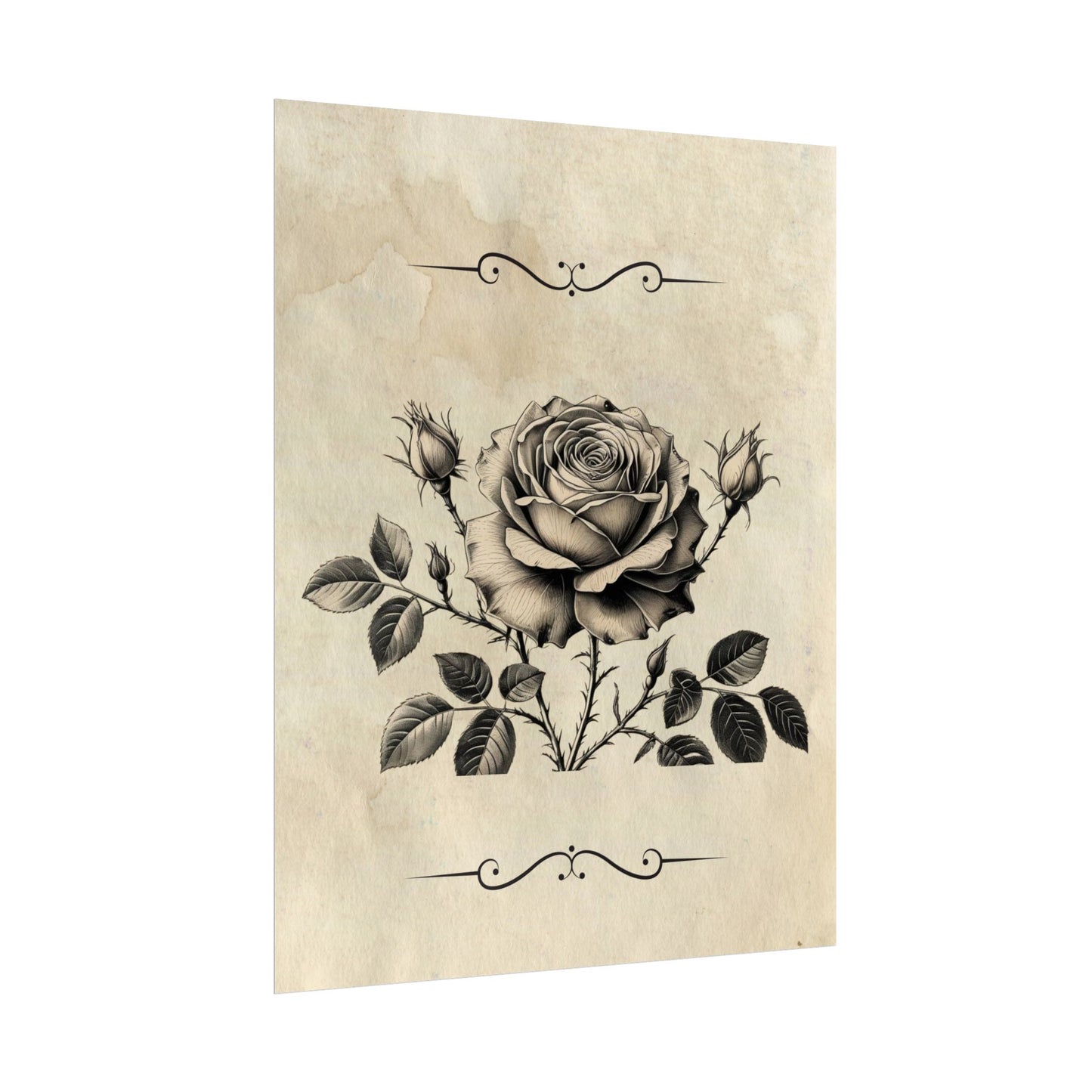 Poster Print - Vintage Black and Grey Rose Design