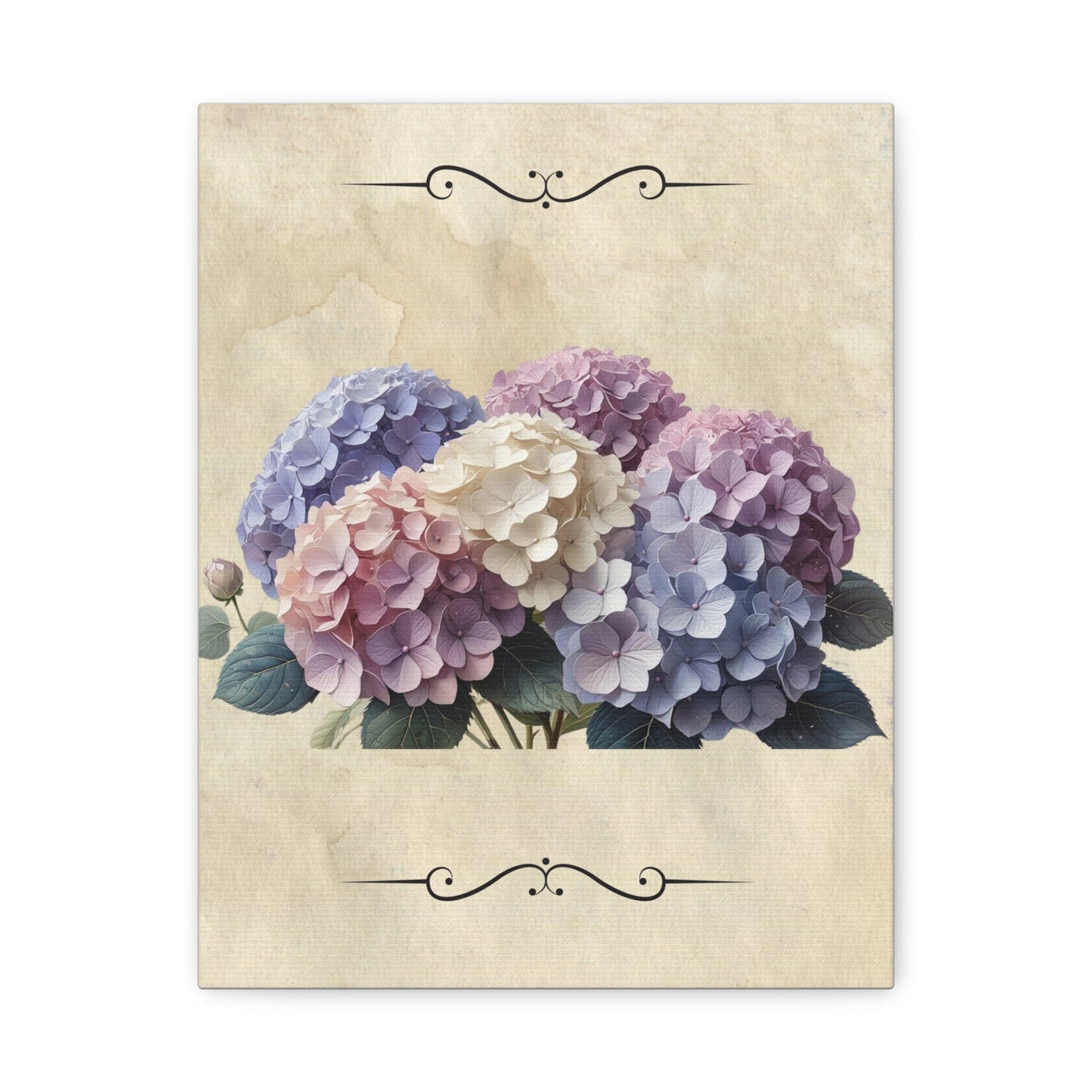 Vintage hydrangeas Matte Canvas, Stretched, 1.25"