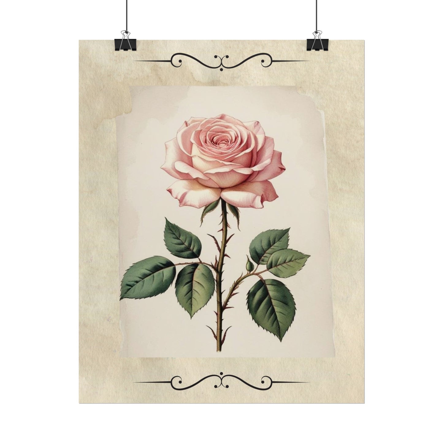 Poster Prints - Vintage Pink Rose Design