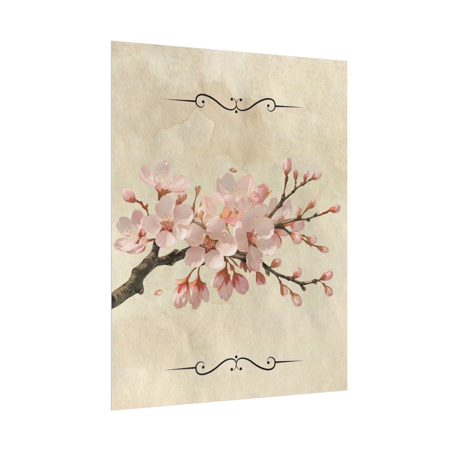 Vintage Cherry blossom on Rolled Posters